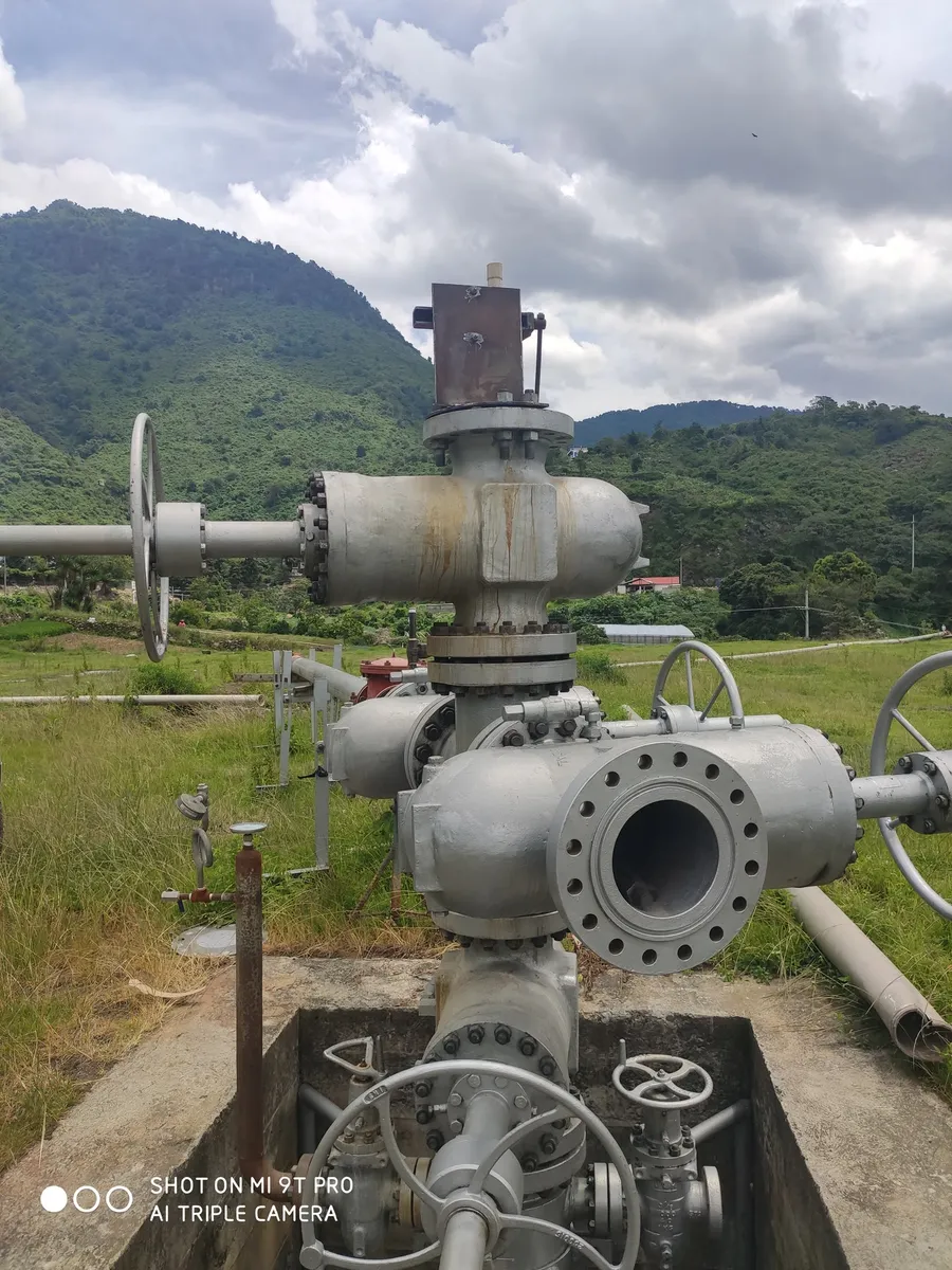 Wellhead valve tree, high-country field